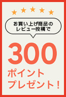 レビュー投稿で300ポイントプレゼント