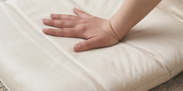 ペットと過ごすときにつかう