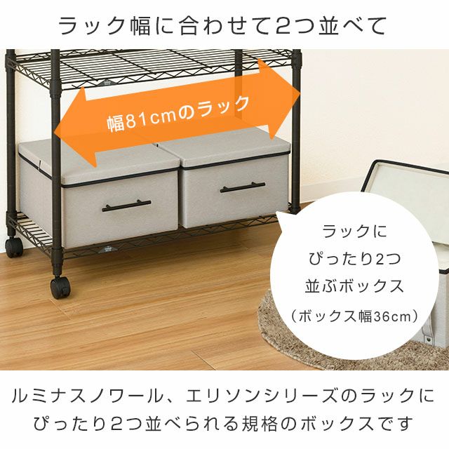 収納ボックス 幅36×奥行40×高さ21cm ルミナス LB3640 | ルミナスクラブ