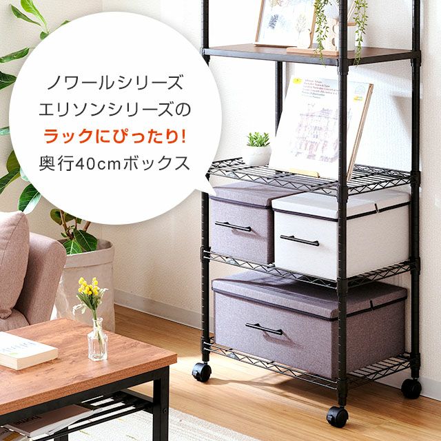 収納ボックス 幅51×奥行40×高さ21cm ルミナス LB5140 | ルミナスクラブ