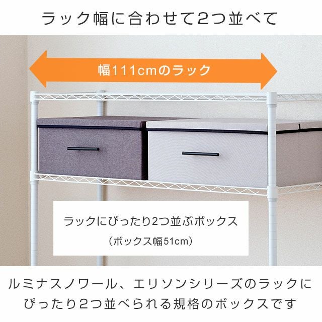 収納ボックス 幅51×奥行40×高さ21cm ルミナス LB5140 | ルミナスクラブ