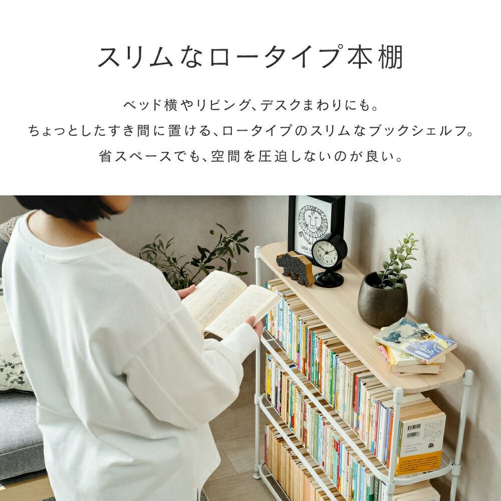スチールラック 幅40cm 4段 ルミナススマート 玄関収納 キッチン収納